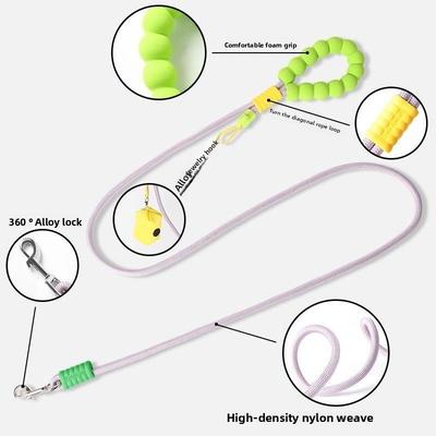 Cani – Collari e guinzagli per cani