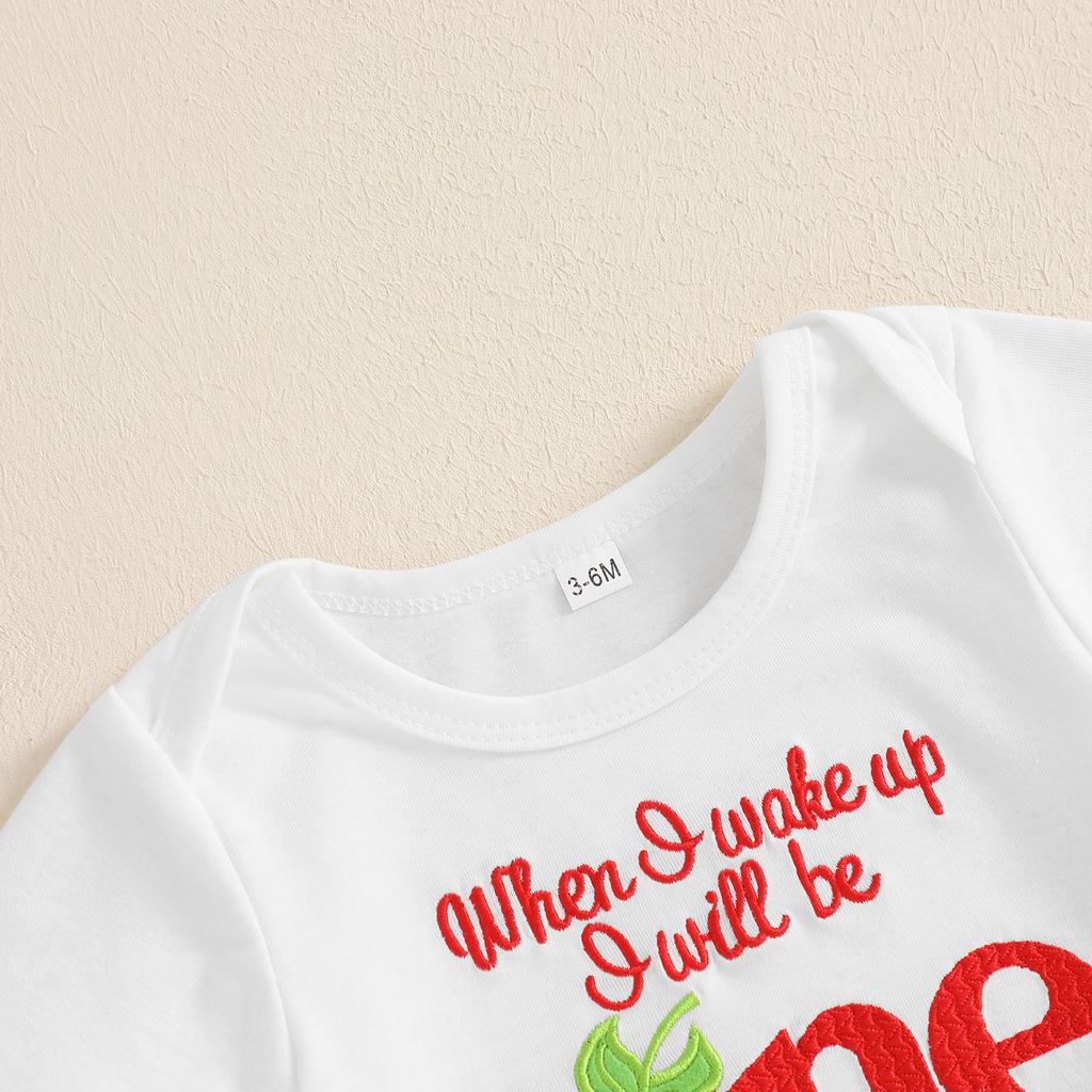 Baby Mädchen Erdbeere Erstgeburtstag Outfit Buchstabenstickerei Kurzarm Strampler Tüllrock mit Schleife 2-teiliges Set