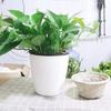 Cotton Rope Self Watering Flower Pot Plastic Double Layer Flowerpot Automatic Watering Lazy Man Hydroponics Green Plant Pot