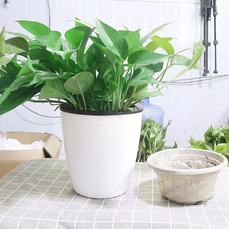 Cotton Rope Self Watering Flower Pot Plastic Double Layer Flowerpot Automatic Watering Lazy Man Hydroponics Green Plant Pot