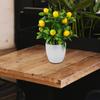 Artificial Kumquat Lemon Potted Plant Plastic Leaves Foam Fruit Home Decor