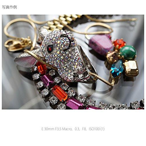 Sony Einzelfokusobjektiv E 30 mm F3.5 Makro für Sony E-Mount APS-C nur SEL30M35