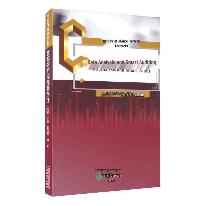 Data Analysis and Smart Auditing