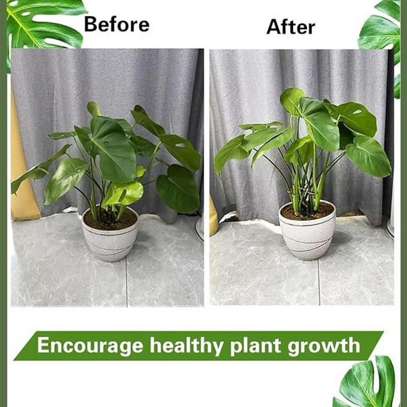 Plant Stem Holder Monstera Plant Support Stem Holder Decorative Metal Flower Trellis Gardening Supplies Clamp Houseplant