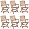 VidaXL Lot de 6 Chaises Pliables de Jardin avec Coussins, Sièges de Terrasse, Chaises de Salle à Manger, Meubles de Patio 3074942
