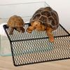 Wall-Mounted Turtle Basking Platform Adjustable Height Reptile Resting Platform  Aquarium