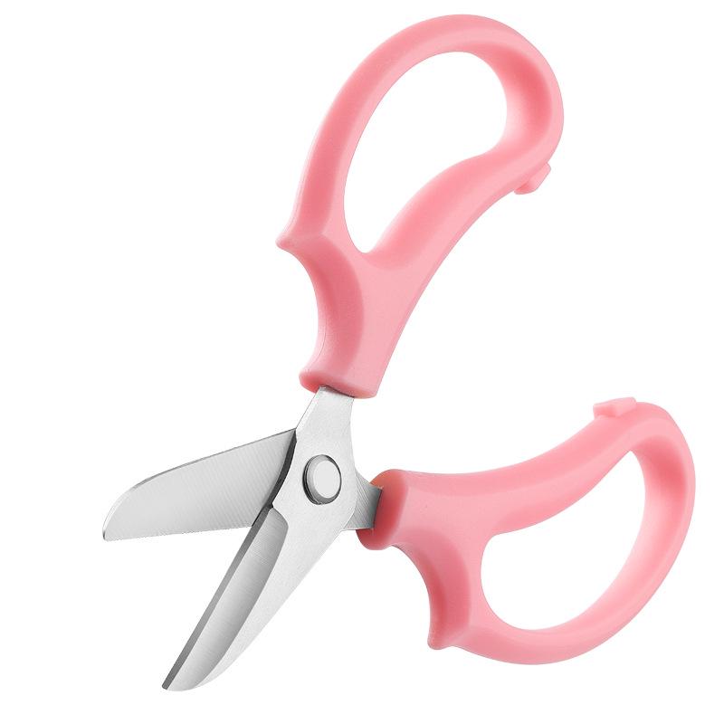 Stainless Steel Florist Pruning Shears: Rose, Tree Branch & Flower Scissors, Multifunctional Garden Tools