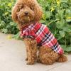 Plaid Dog Wedding Outfit - Shirt and Dress for Small To Medium Breeds