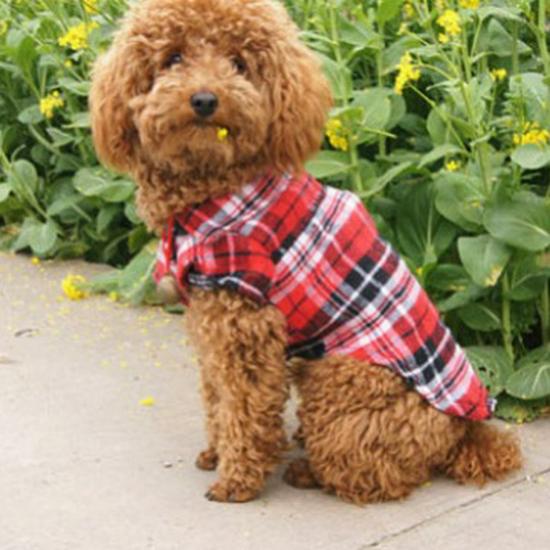 Plaid Dog Wedding Outfit - Shirt and Dress for Small To Medium Breeds