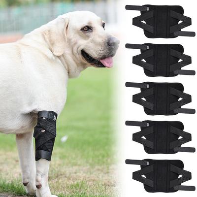 Pet Kolenní chrániče pro zotavení po poranění kloubů Chránič nohou Pes Chrání Obvaz Chránič artritidy pro psy Kryt Psí hlezenní kloub Ortéza