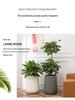 Nordic Creative Self-Watering Large Round Rattan Style Indoor Flower Pot for Green Plants