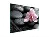 GLAS-KOCHFELD-SCHUTZPLATTE 70x52 ORCHIDEE