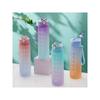 Gradient Colored Water Cup with Water Level Marker and Straw, Leak Proof Plastic Water Cup with Handle, Suitable for Gym, Office, Outdoor Activities