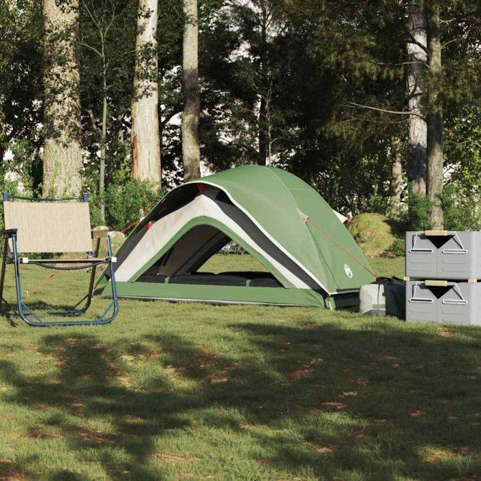 Tente de camping - VIDAXL - 1 place - Imperméable - Vert - 213 x 84 x 100 cm