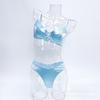 Womens Sheer Satin Lace Bra Set With Full Coverage Support Thin Molded Cup Adjustable Straps Plus Size Available