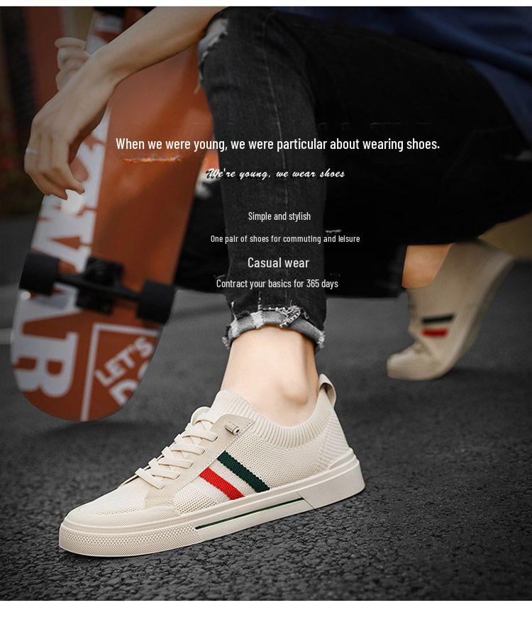 Men's Summer Breathable Canvas Trendy Mesh Sports Casual Shoes