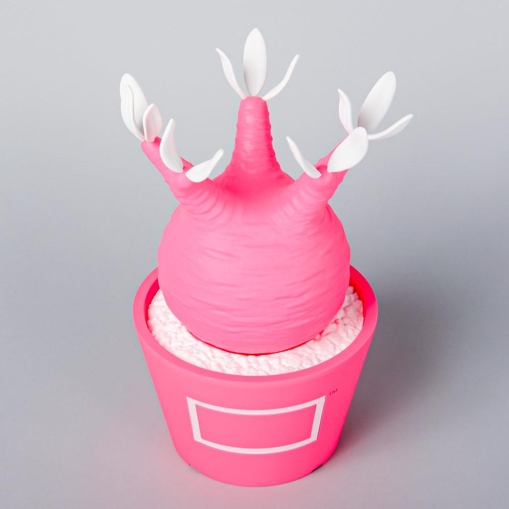 BOTANIZE X MEDICOM TOY Pachypodium Gracilis Figure Pink Pop Color American Goods Style Interior [Limited Sale] (Pink)
