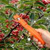 Traubenernte Multifunktional Kleine Fruchternte Trimmer Paprika Blumenzweig Schere Küchen-Häcksel-Gadgets Gartenzubehör