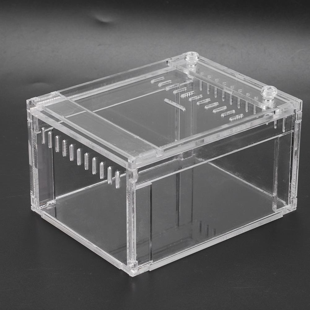 Acrylic Transparent Flameer Reptiles Insect Tank Breeding Box Pets Snakes Turtles Terrarium