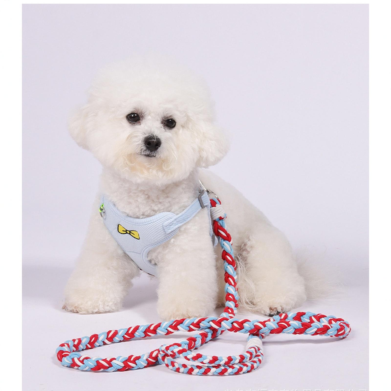 

Handmade Cute Dog Leash with Floral Pearl Design, Soft Cotton Rope - 59in Safe & , Lightweight Spring Summer Leash for Small Medium Dogs one size