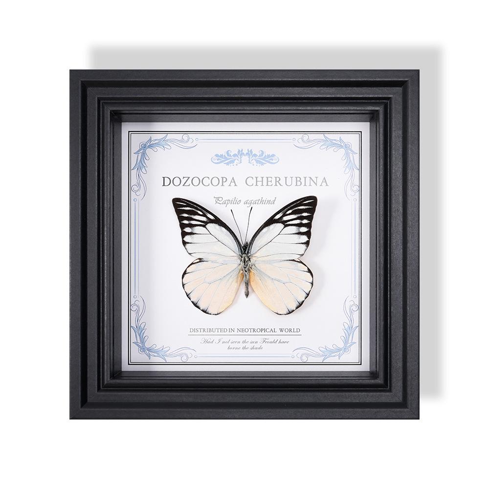 Wall-Mounted Butterfly Specimen Photo Frame: Home Decor & Gift for Valentine's Day, Qixi, Birthday, Couples & Insect Lovers