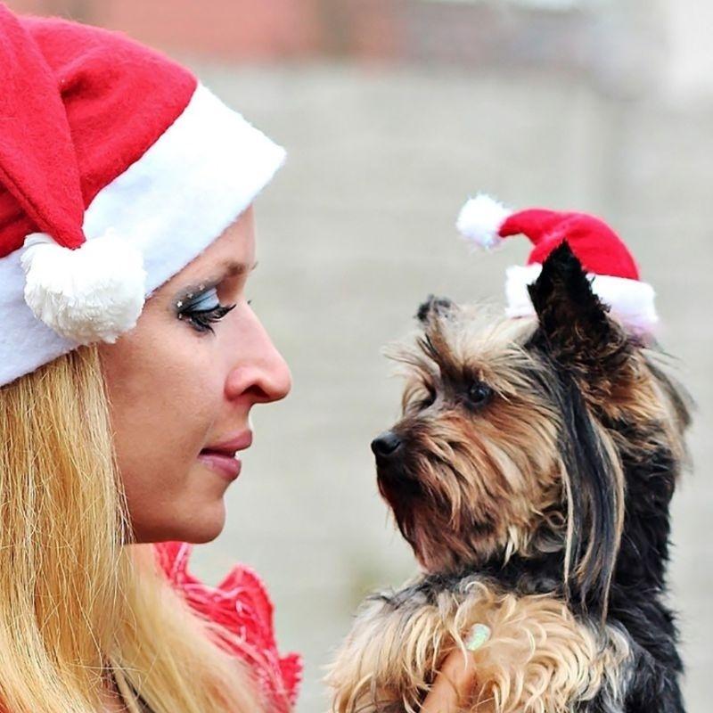 Christmas Pet Hat Santa Claus Hat For Cats Dogs Puppy Xmas Decoration New Year Pet Costume Home Festival Party Pet Supplies