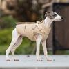 Mode Hundjacka för Små Medelstora Hundar Vinter Varm Husdjursrock med Sele Greyhound Beagle Schäferhund Jackor mascotas Kläder