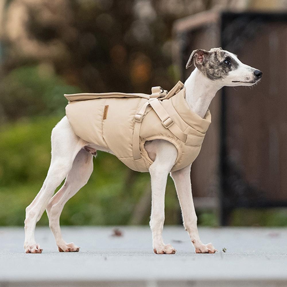 Mode Hundjacka för Små Medelstora Hundar Vinter Varm Husdjursrock med Sele Greyhound Beagle Schäferhund Jackor mascotas Kläder