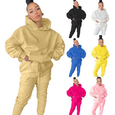 Sports Wear Multi-color Warm Flexible Women Outfits for Fall Hoodies Suit