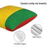 Jamaican Reggae Rasta Lion Jamaica Flag 2 Pcs Square Pillowcase Pillow Cover Cushion Throw Pillow For Home Car