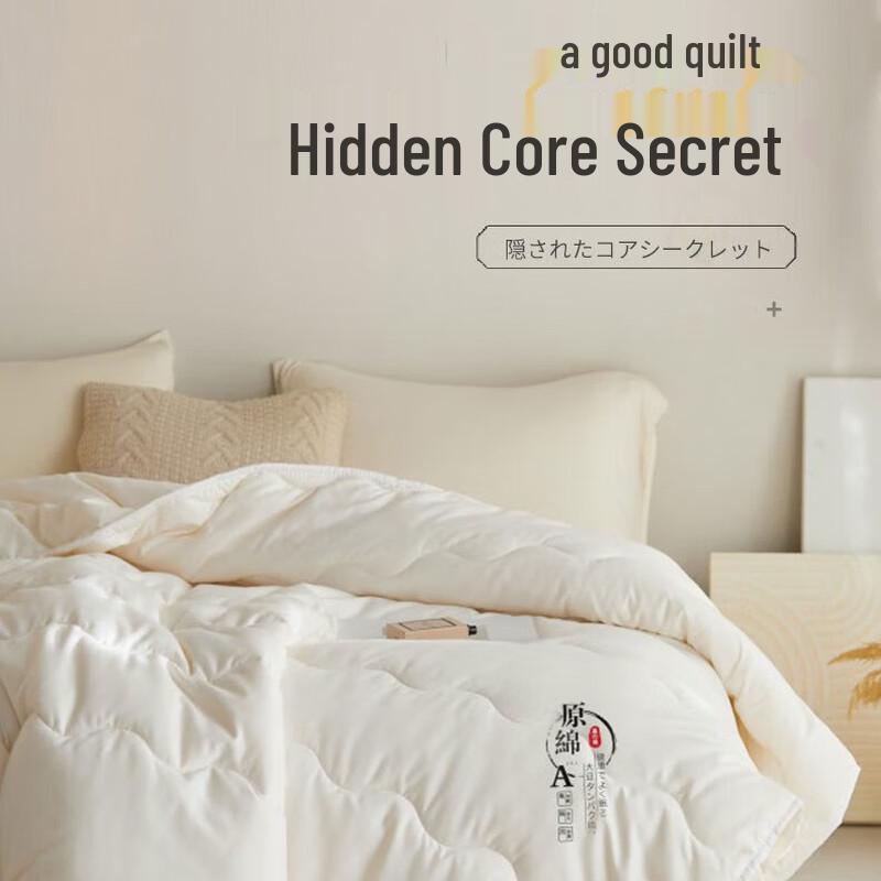 

HODO Skin-Friendly Polyester Winter Quilt