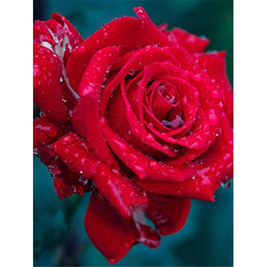 HUACAN flower pattern Diamond painting cross stitch 5D diamond mosaic photo embroidery handma