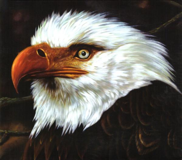 

CD MOGWAI Hawk Is Howling OLE8322 Matador 2008 US Rock Used