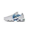 Air Max Plus Spray Paint Swoosh White Blue