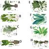 PVC Wall Decals Waterproof Wallpaper Wall Decoration Green Plant Potted Wall Sticker  Dormitory