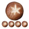Homoyoyo Brown PVC Artificial Shiitake Mushroom Models - Realistic, Long-lasting, Simulated Mushroom Models - Perfect for Art Training Facilities and