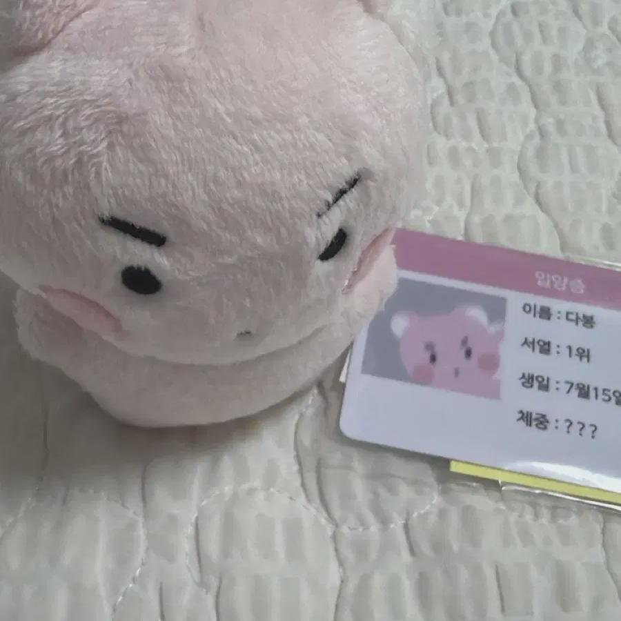 

Play Amdabong Brand New