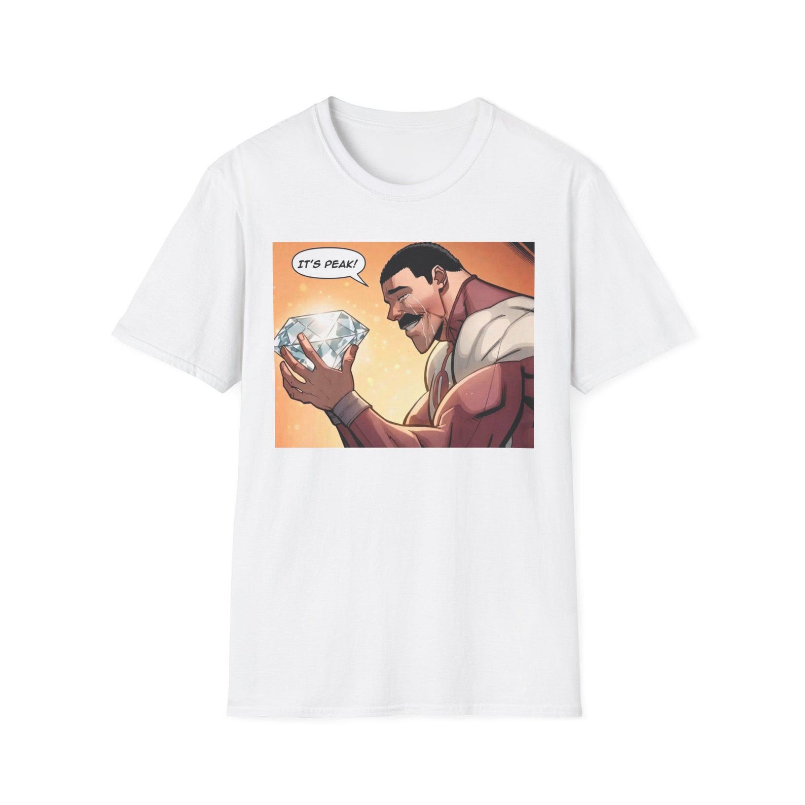 Invincible tshirt, It s Peak thragg meme, Invincible , Graphic clothing, anime clothing, meme tshirts 3XL