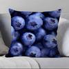 Fresh Food Anime Health Pillow Case Anti-dustmite Pillowcase Invisible zipper silky short plush Sofa cushion cover