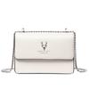 Bag Women's New Autumn and Winter Women's Bag Chain Bag Crossbody Bag Fashion Shoulder Bag Niche Design Square Bag