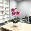 Butterfly Orchid Artificial Plant Home Decor With Plastic Leaves For Living Room And Office