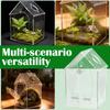 Clear Jumping Spider Enclosure Acrylic Tarantula Terrarium with Feeding Port and Ventilation Holes Small Reptile Feeding Box