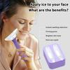 Facial Ice Roller For Face Premium With Carry Case And 2X Rollers For Long Lasting Cold