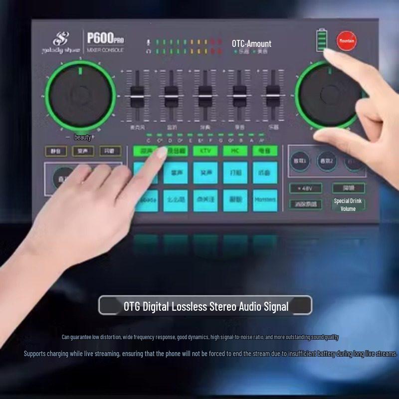 Meiyin Xiuxiu P600pro C180 Sound Card & Microphone Set – Mobile & Computer Compatible