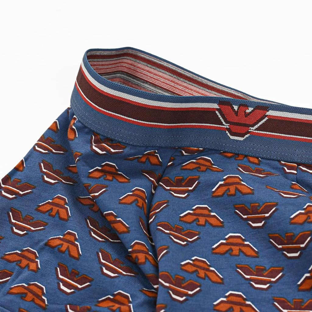 Emporio Armani Men's Eagle Logo Boxer Briefs, Size L, Brown and Blue, EM000231 AF10793 FB108, Made in Italy [Parallel Import]