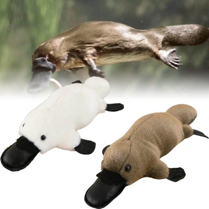 Platypus Plush Toy Dolls Room Decoration Ornaments Children Gifts Christmas