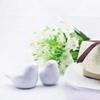 2 Pcs/Set Ceramic Love Bird Seasoning Bottle Gift Box Wedding Companion Gift Classmate Party Souvenir Home Kitchen Seasoning Box