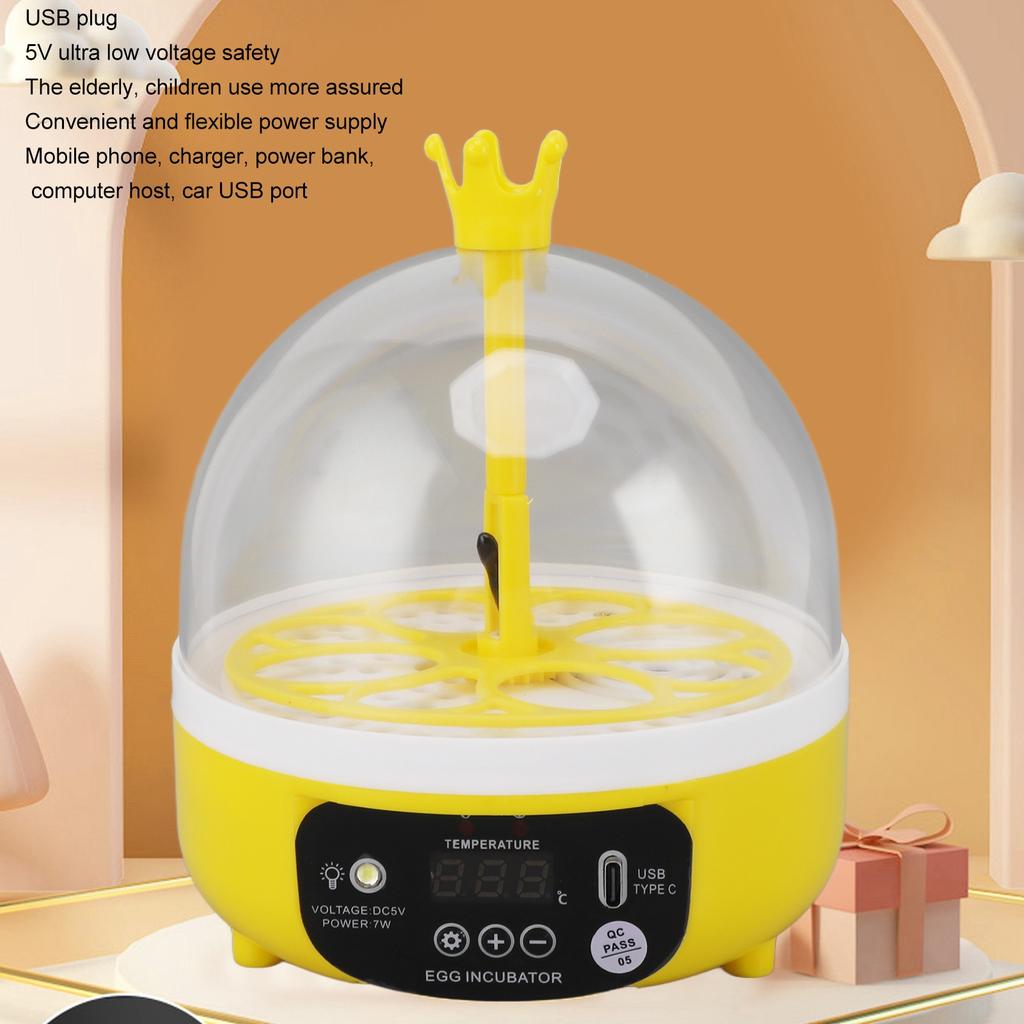 Mini-Brutmaschine für Zuhause, automatische Temperatur- und Feuchtigkeitsregelung, 4 Eier, Eierleuchte, Geflügelbrutmaschine für Hühner, Enten, Pi