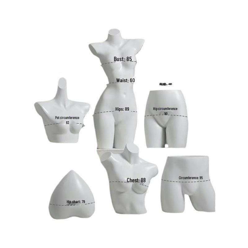 Unisex Half-Body Plastic Mannequin for Underwear Display