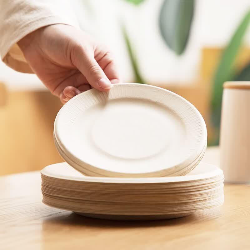 CHAHUA Biodegradable Disposable Paper Plates 20.5cm